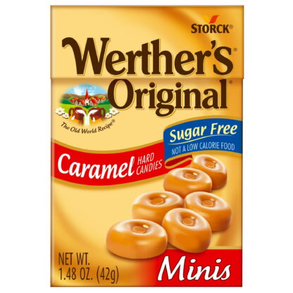 Werther's Original Sugarfree Minis Box 42g